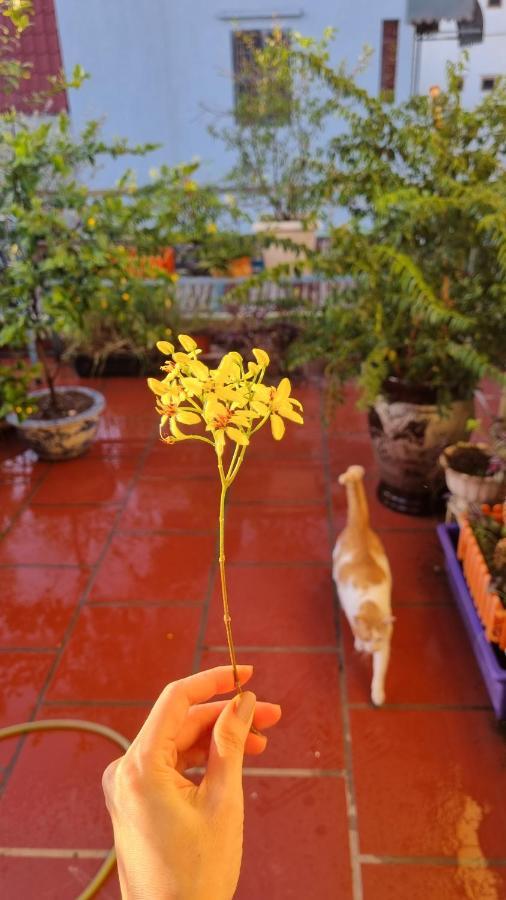 Daisy'S Stay Hanoi Bagian luar foto